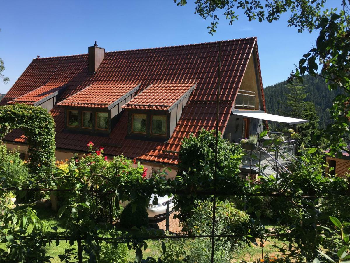 Ferienwohnung Wildenreuth Weidenberg Exteriér fotografie